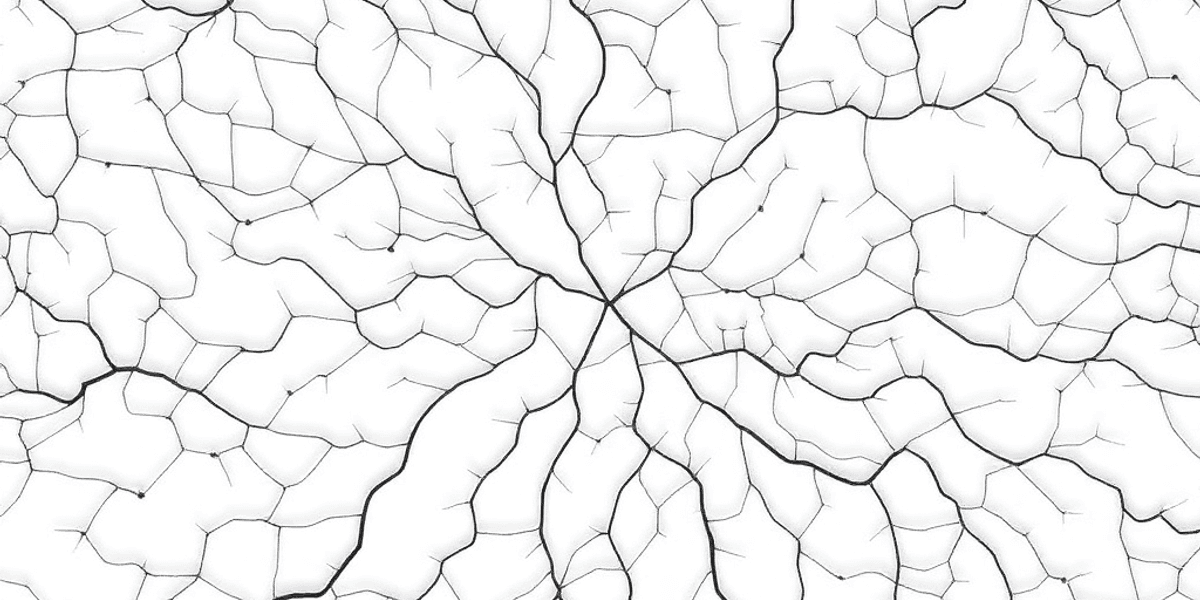 Cover Image for How Initial Information Skews Judgment: Anchoring